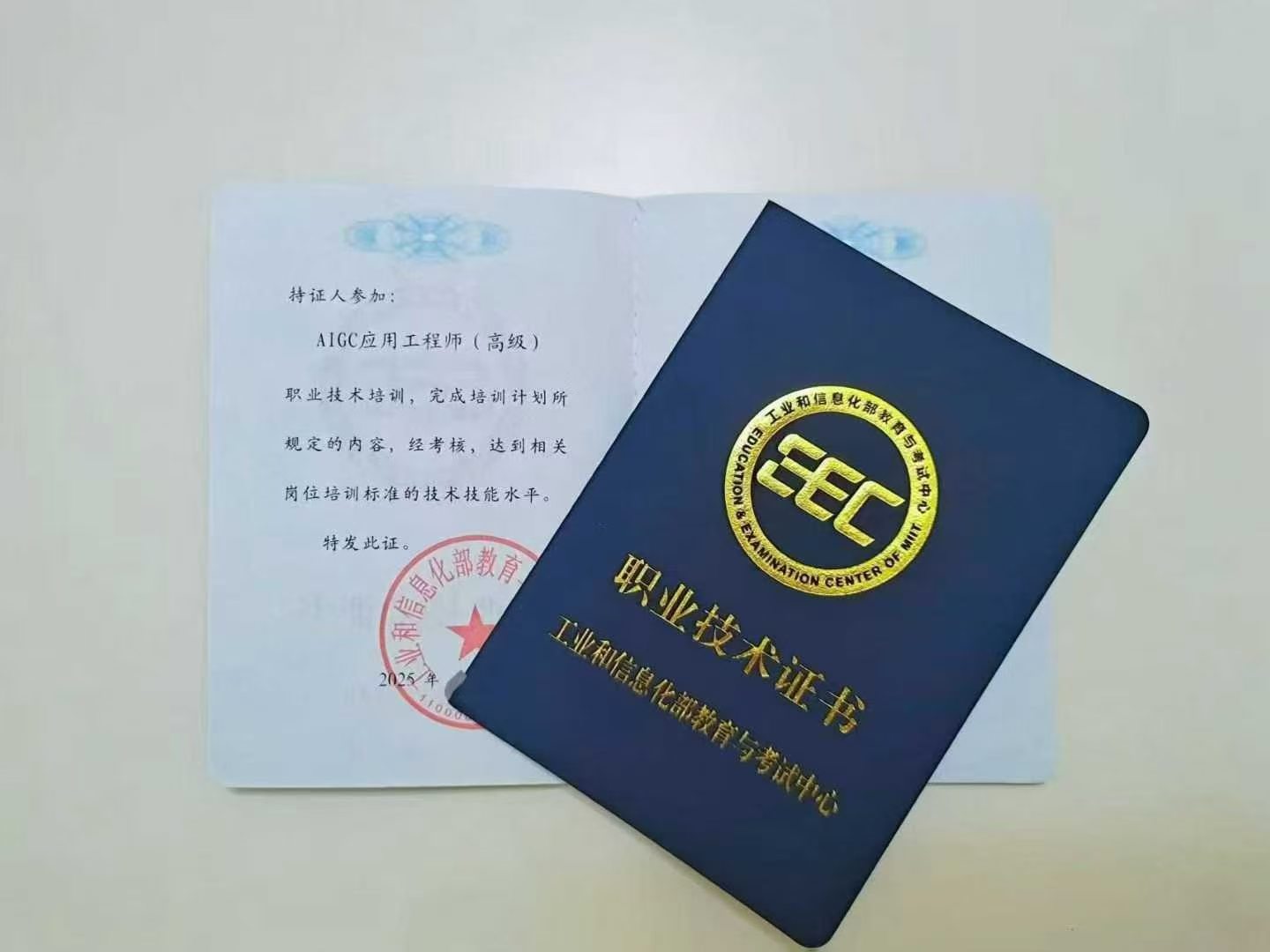 AI 蓝皮 AIGC 应用工程师高级证书样本【待替换】