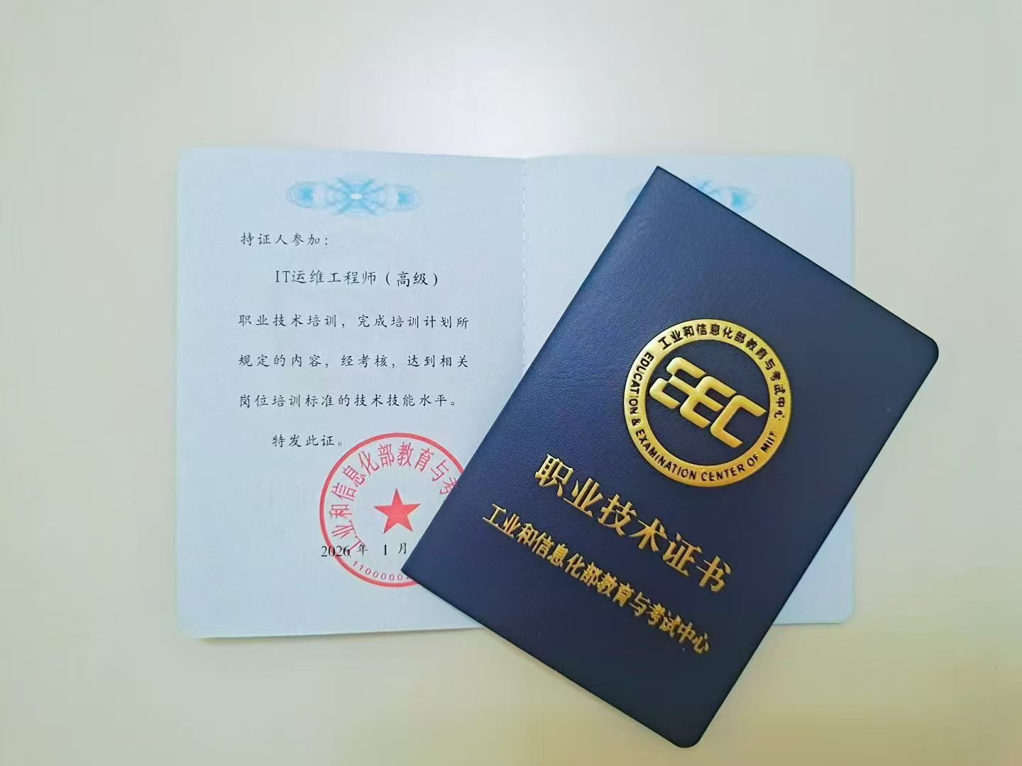 IT 运维工程师高级证书样本【待替换】